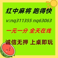 (综合观察)红中麻将跑得快群全天不熄火