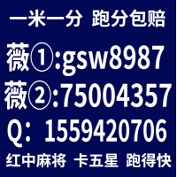 详细介绍卡五星_牛牛一元一分红中麻将群