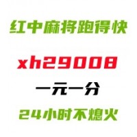 2024红中广东一元一分麻将群接好运