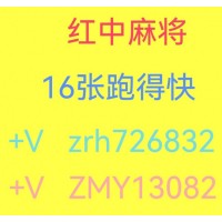 （正规的）红中麻将八年老平台1元1分上下分红中麻将群跑的快群