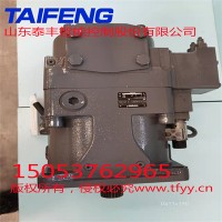 山东泰丰智能供应柱塞泵（可串联使用）TFB1V63LR/1X-LRB2