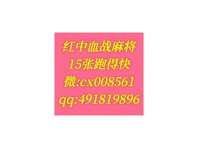 盘点」红中麻将 一元一分 @2024已更新（今日/知乎）