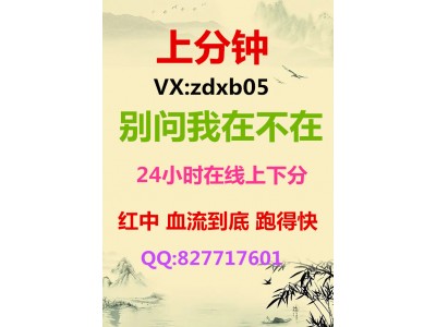 (火爆)一元一分红中麻将群@2024已更新（今日头条）