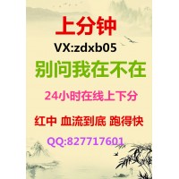 (火爆)一元一分红中麻将微信群2024@已更新（哔哩哔哩）