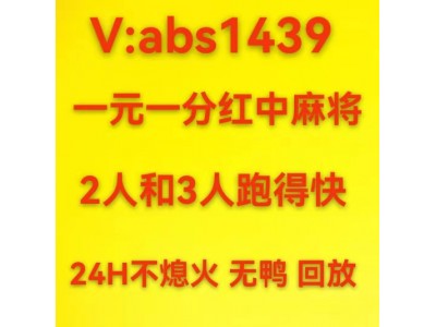 红中麻将跑的快abs1439