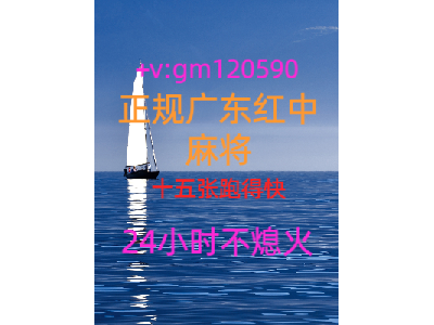 经济焦点正规1元1分红中麻将群2023已更