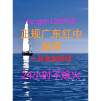 经济焦点正规1元1分红中麻将群2023已更