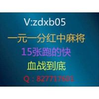 (火爆)一元一分红中麻将微信群2024@已更新（今日头条）