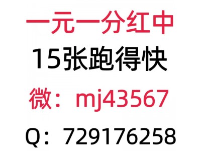 【秒入群】一元一分红中麻将群去哪找（竞技/游戏）