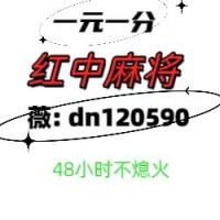 全网普及网上打（红中麻将）一元一分2024更新