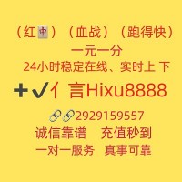 新推枣庄24小时一块一分红中麻将跑得快群