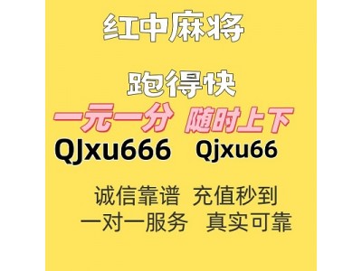 新推海西一元一分上下分模式的红中麻将群