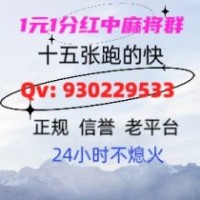 领头羊哪里有24小时一元麻将群24小时不熄火