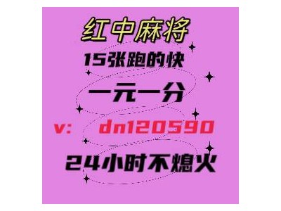 「优质新闻」24小时一元一分麻将2024（今日*知乎）