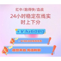 独酌无相亲、红中麻将一元一分红中癞子新玩法