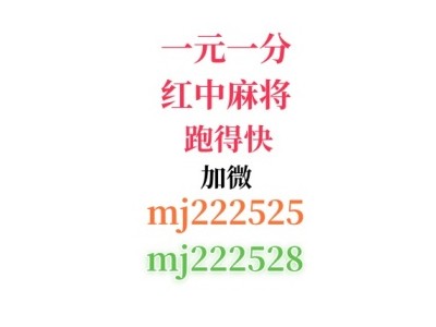 「优质新闻」一元一分红中麻将@2024(哔哩/哔哩)