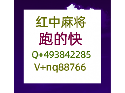 重大通报寻找1分1元-24小时在线红中麻将群