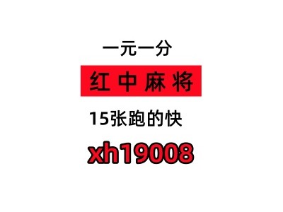 淘宝达人15张跑的快群24小时不熄火鼠尾掌