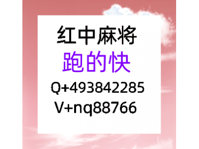 盘点十大五年老群24小时1-2块1分红中麻将微信群