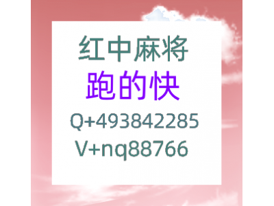 今日爆料一元一分广东红中麻将哔哩哔哩