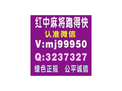 一分钟了解跑得快一元一分真人微信科普一下行业领先