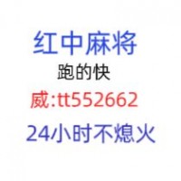 [烟火人间]哪有正规一元红中群[日新月异]