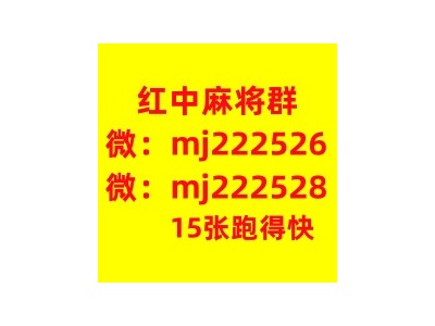 这里找24小时不熄火红中麻将群