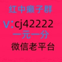 不用到处找1元1分红中麻将群,跑得快群樱花盛放