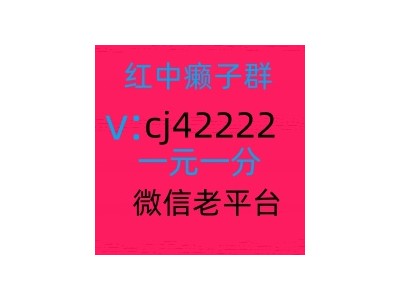 拉我进1元1分红中麻将群