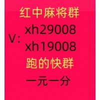 金银花红中麻将群24小时不熄火今日热榜