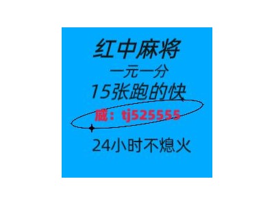 筑基正规靠谱红中麻将群24小时不熄火