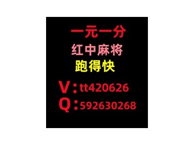 经济焦点》正规1元1分红中麻将群(哔哩/哔哩)