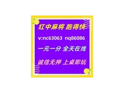 教学手册红中麻将一元一分全天不熄火