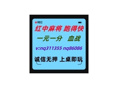 (最新介绍)红中麻将跑得快一元一分2024已更新