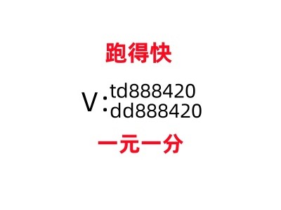 手机真人1块红中麻将群,跑得快群全力以赴