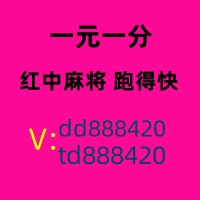 靠谱口碑好谁有广东红中一元一分麻将群搜狐新闻