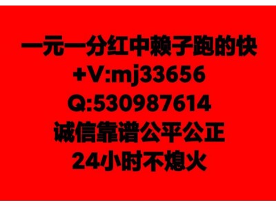 （如何加入）红中麻将一元一分入群出把铸哪家强