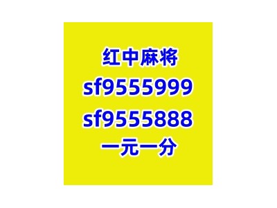 h广东正规红中麻将一元一分