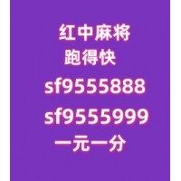 [周末必玩]24小时不熄火红中麻将群（2024已更新）