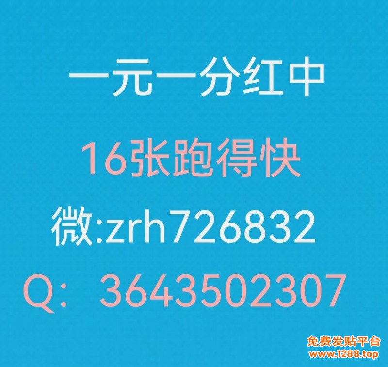 QQ图片20240915190025