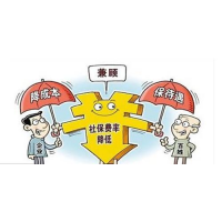 杭州社保代缴哪家公司好，杭州社保服务商，杭州社保公积金托管