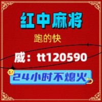 麻将介绍24小时不熄火红中麻将群全面升级