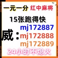 正规的千人大群24小时红中麻将群2025以更新