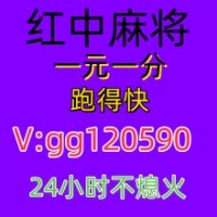 广东正规红中麻将群一元一分欣喜