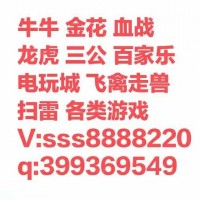 正儿八经一元一元一分血战麻将群