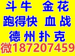 一毛一分金花群微【187207459】斗牛群血战麻将跑得快群