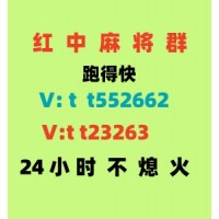 【必玩红中】广东红中麻将一元一分《2024》