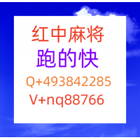 独家解答红中麻将跑得快全天不熄火