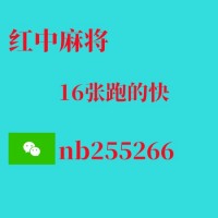 2分掌握靠谱的1元1分红中麻将