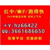 谁有24小时一元一分红中麻将上下分麻将群@2023已更新